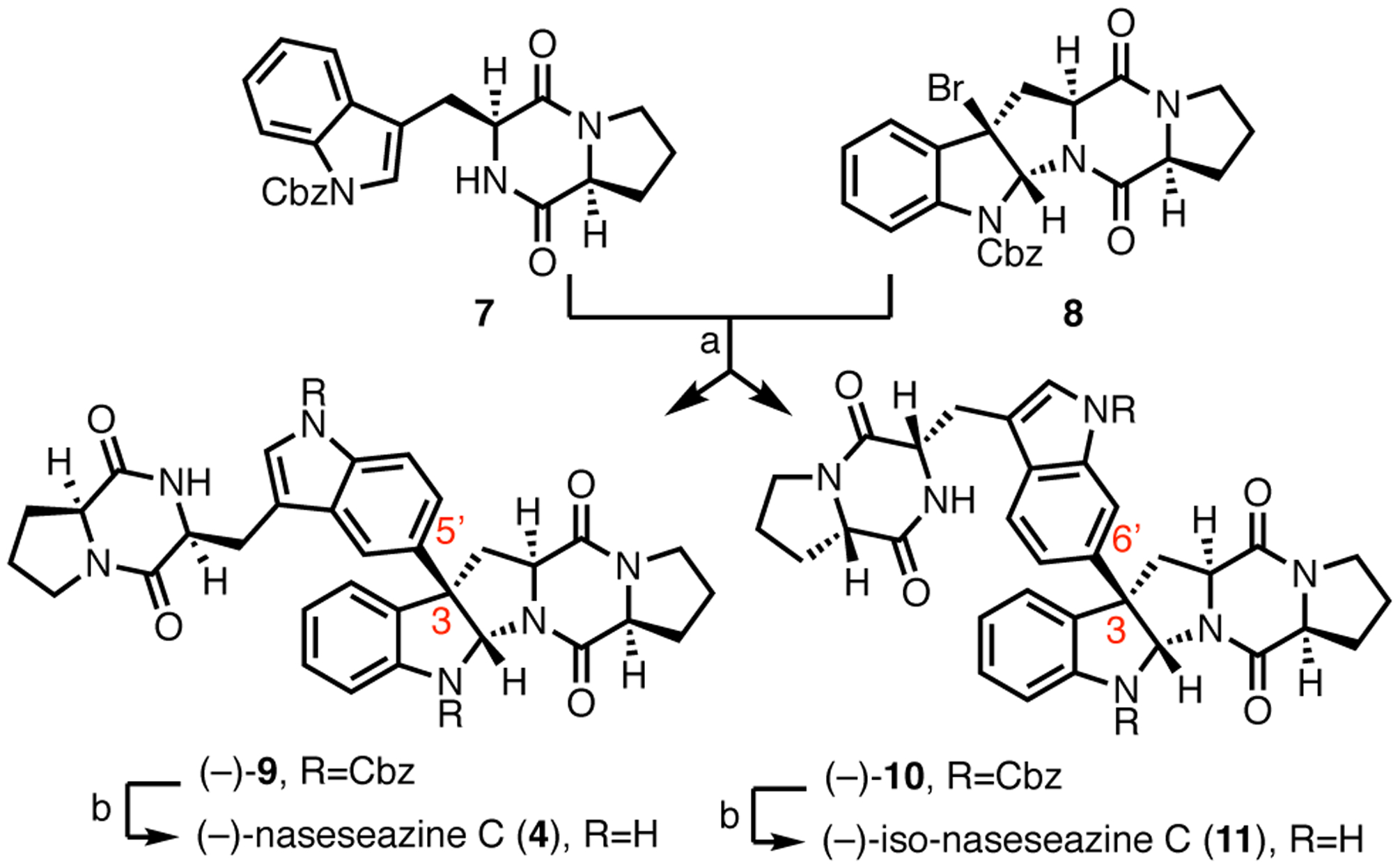 Scheme 1.