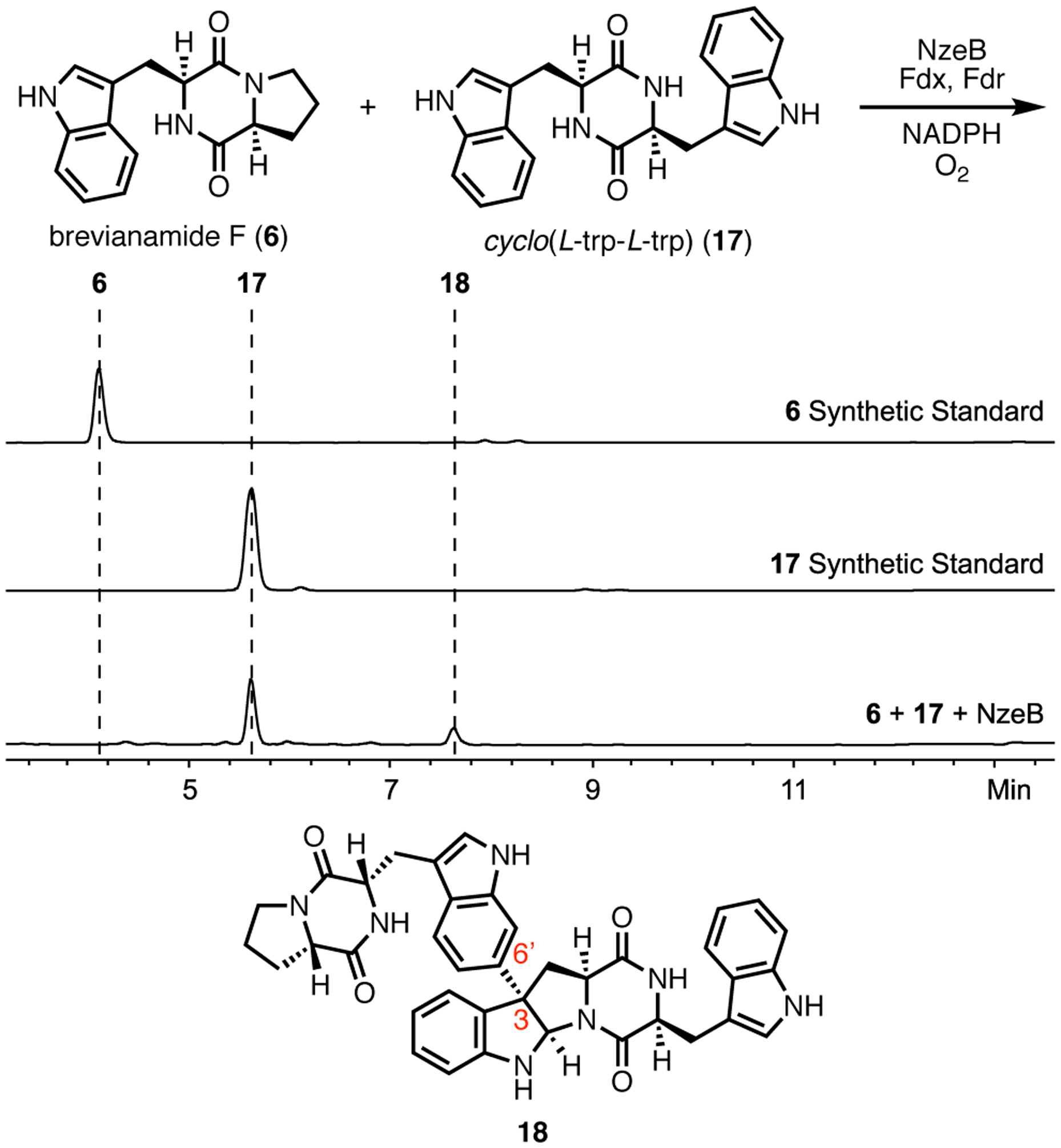 Figure 6.