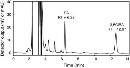 Figure 7.