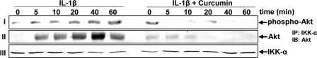 FIGURE 10.