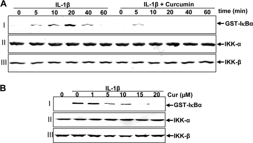 FIGURE 9.