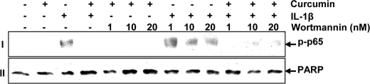 FIGURE 12.