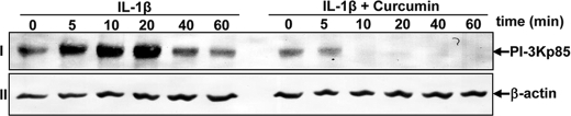 FIGURE 11.