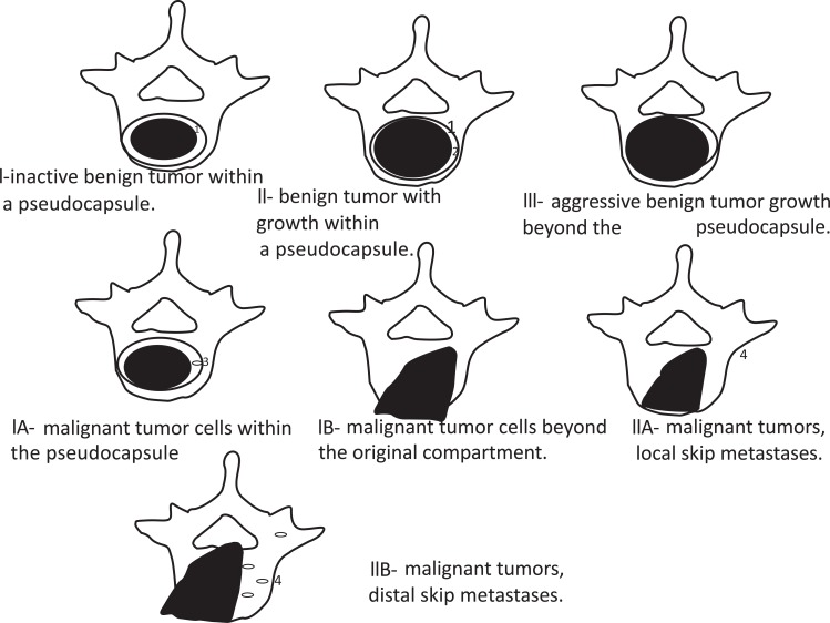 Fig. (1)