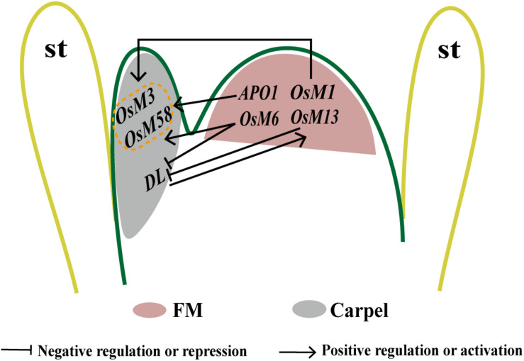 FIGURE 3