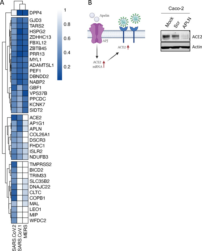 Figure 4 –