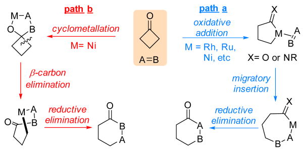 Scheme 1