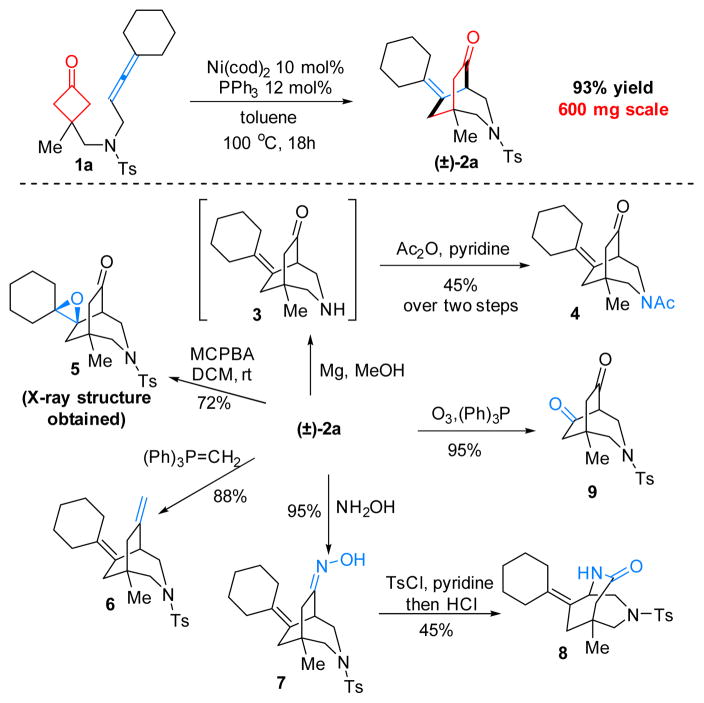 Scheme 3