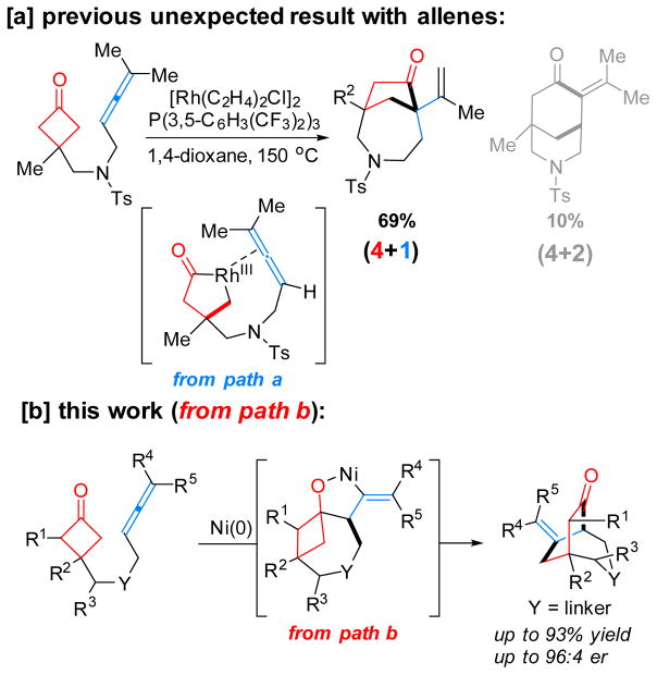 Scheme 2