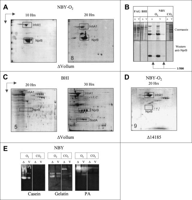 FIG. 6.