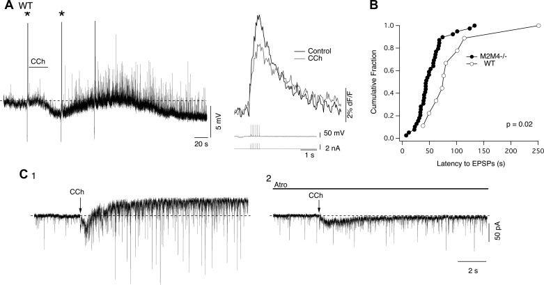 Fig. 10.