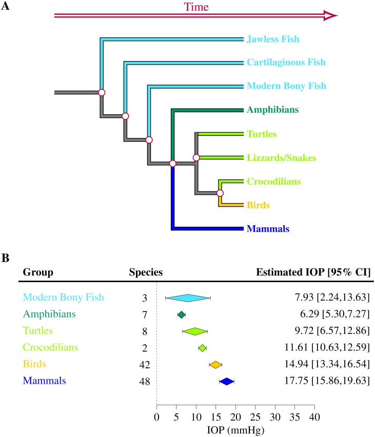 Fig 10