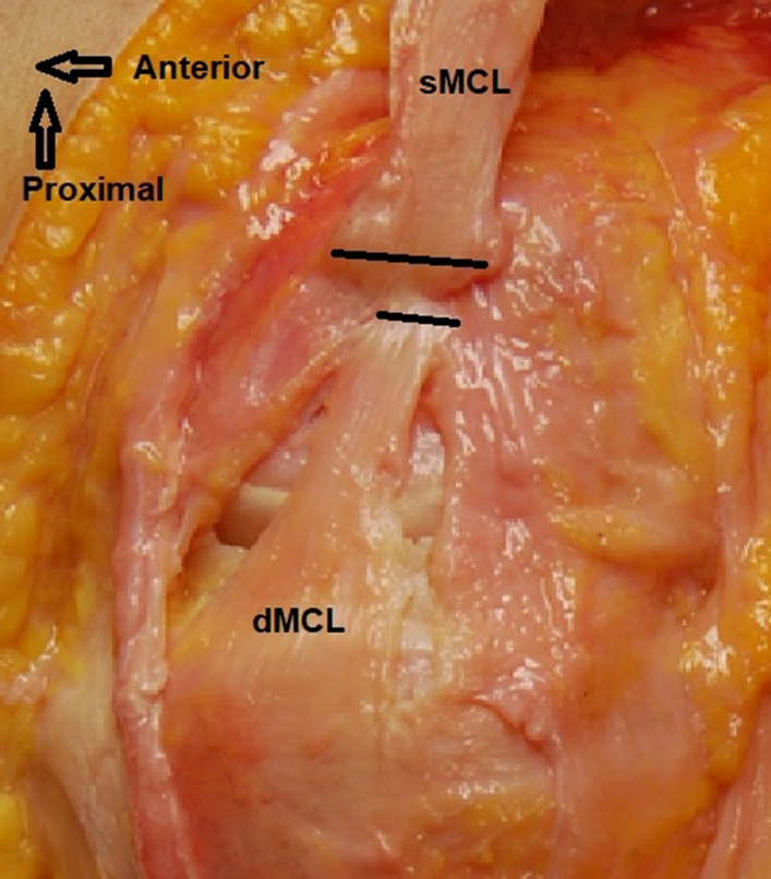 Fig. 9