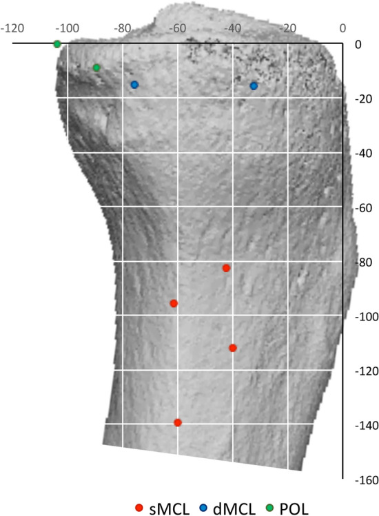 Fig. 7