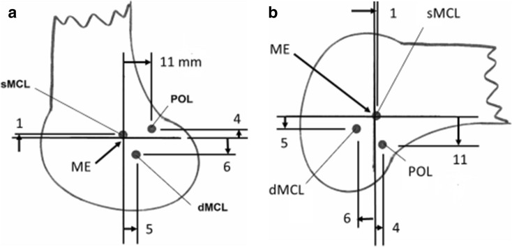 Fig. 8