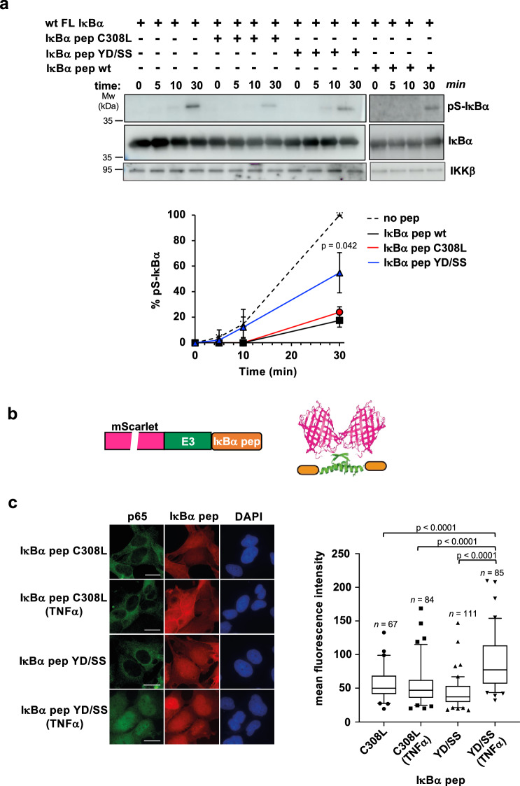 Fig. 4