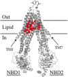 FIGURE 9.