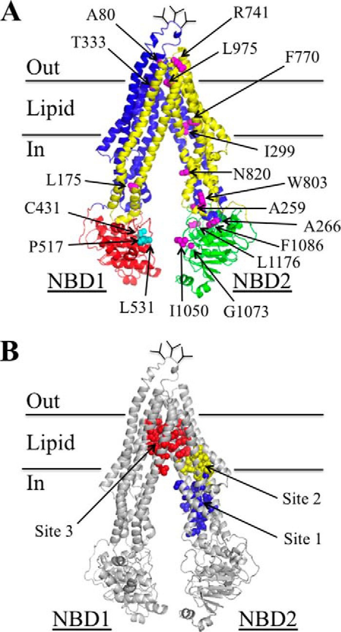 FIGURE 1.