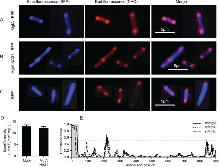 Figure 3.