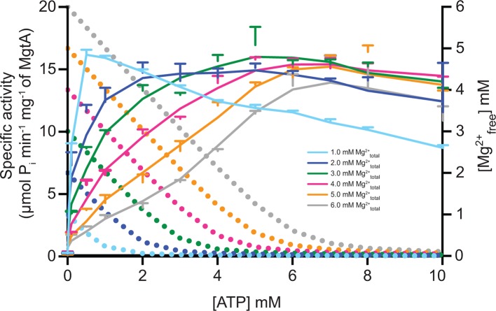 Figure 4—figure supplement 1.