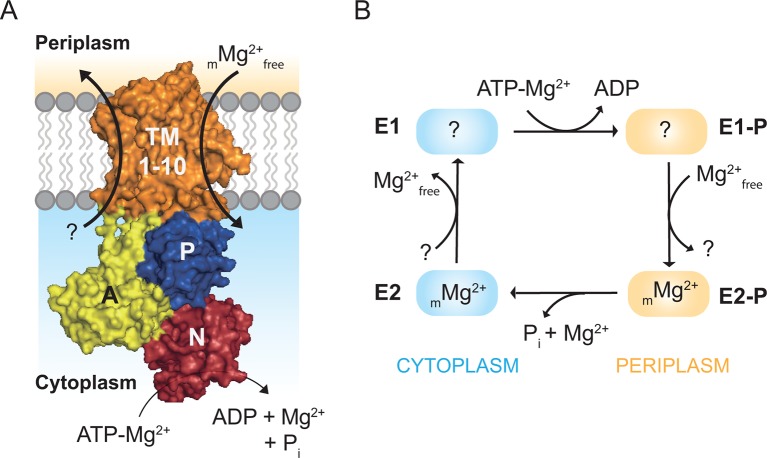 Figure 1.