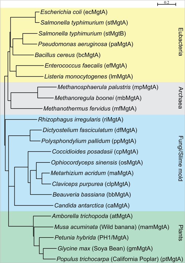 Figure 1—figure supplement 1.