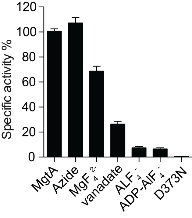 Figure 2—figure supplement 3.