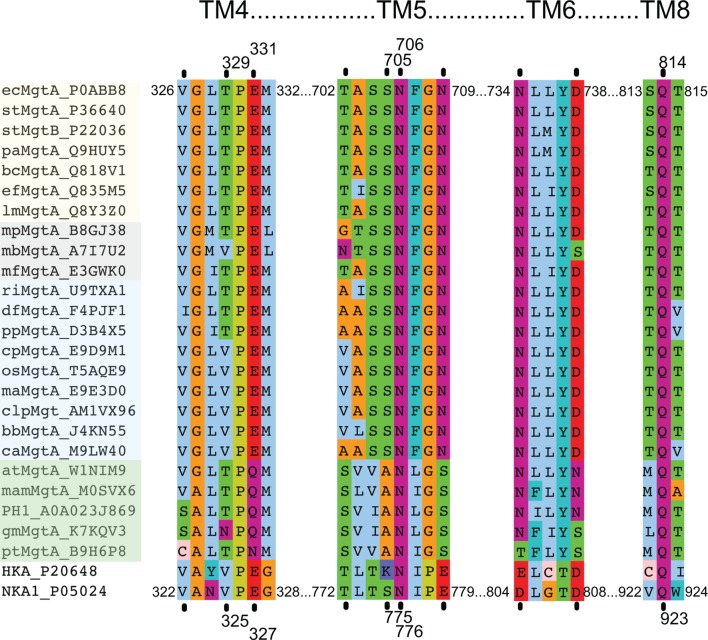 Figure 1—figure supplement 2.