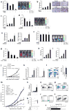 Extended Data Figure 1