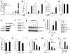 Extended Data Figure 2