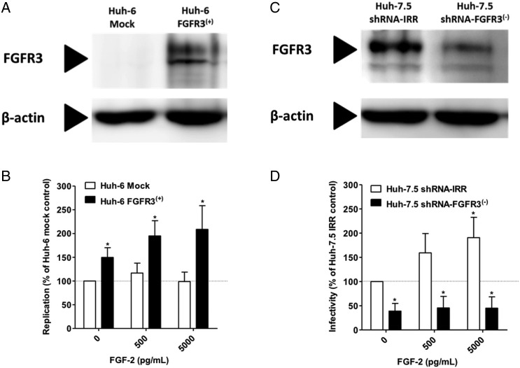 Figure 6