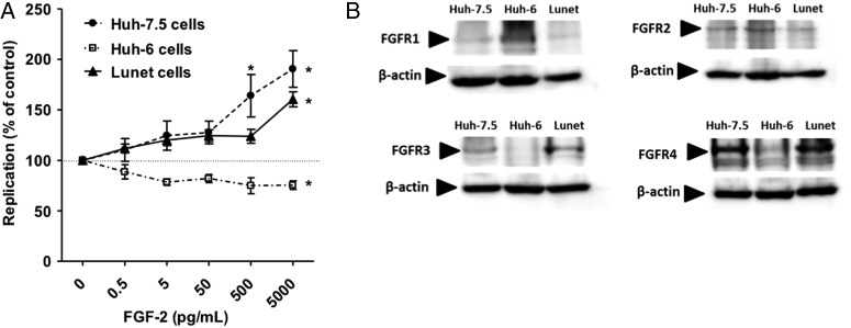 Figure 5