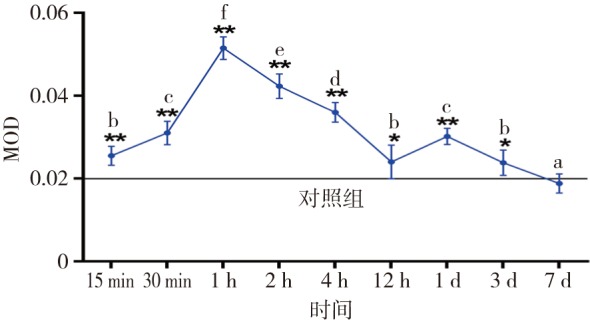 图 6