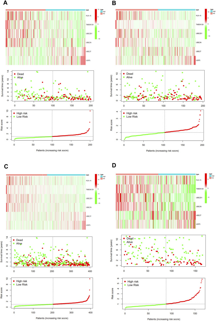 FIGURE 6