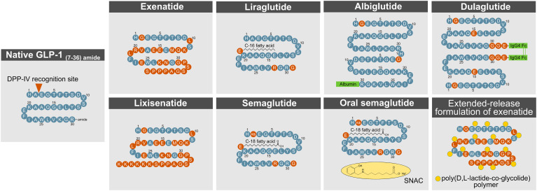 Figure 4