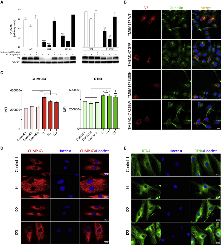 Figure 4