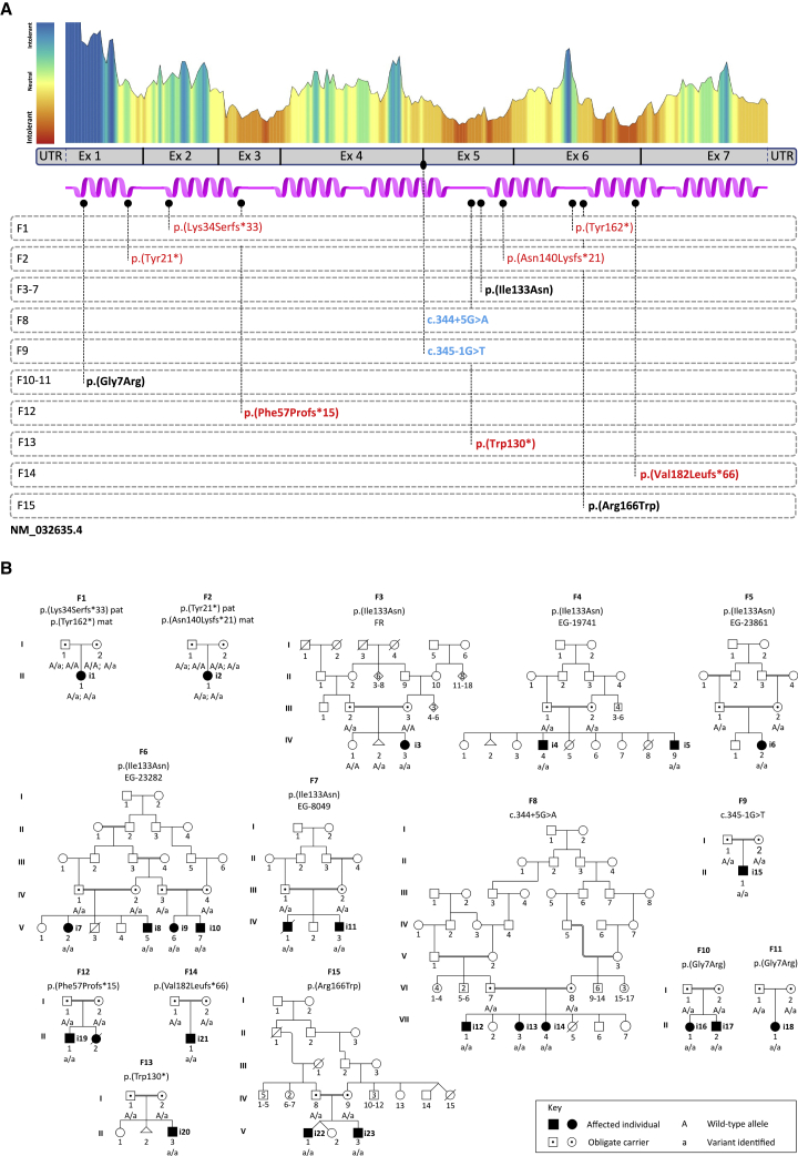 Figure 1