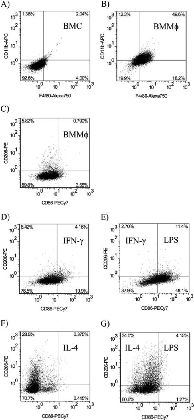 FIG 2