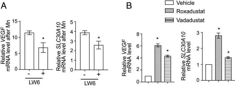 Fig. 9.