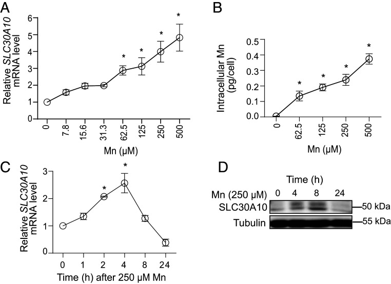 Fig. 2.