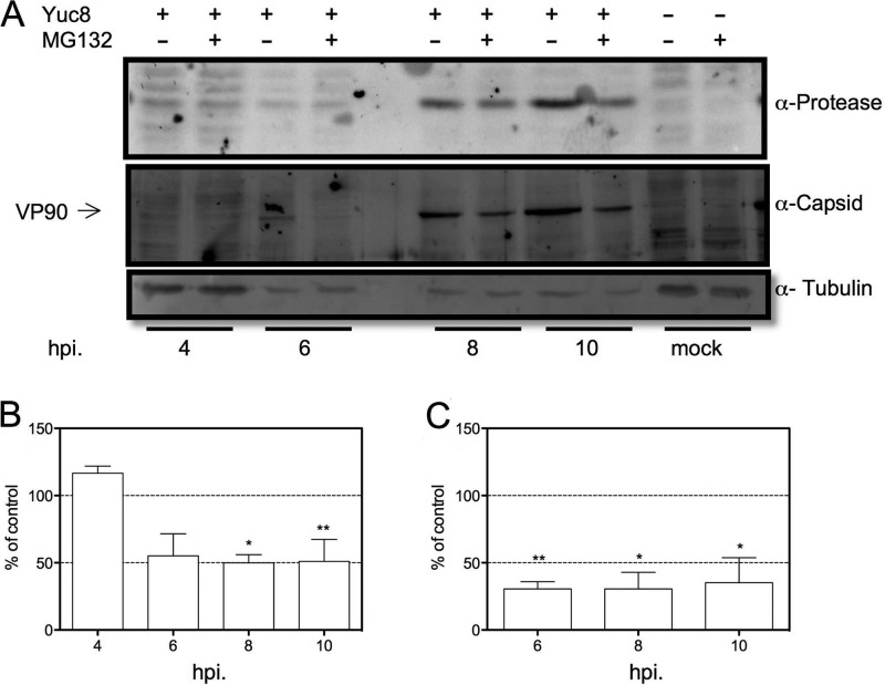 FIG 8