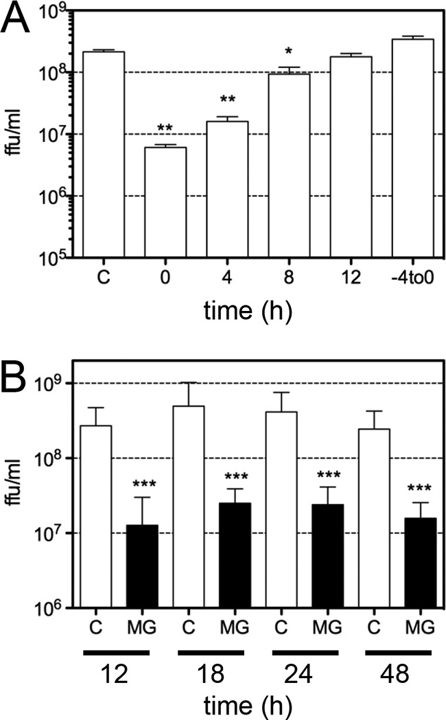 FIG 2