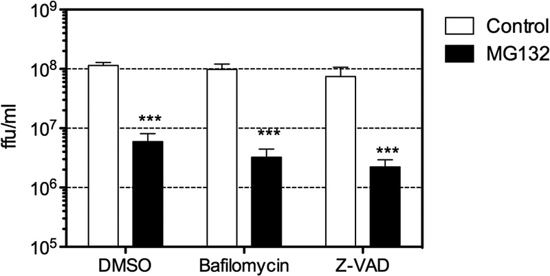 FIG 6