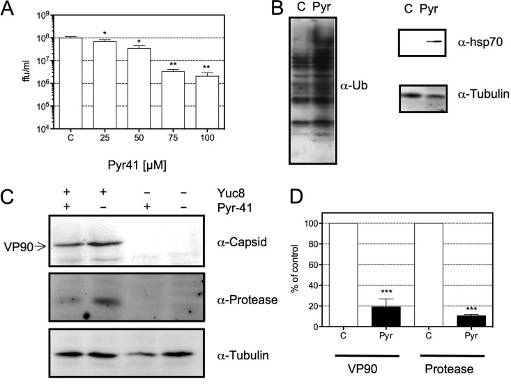 FIG 4