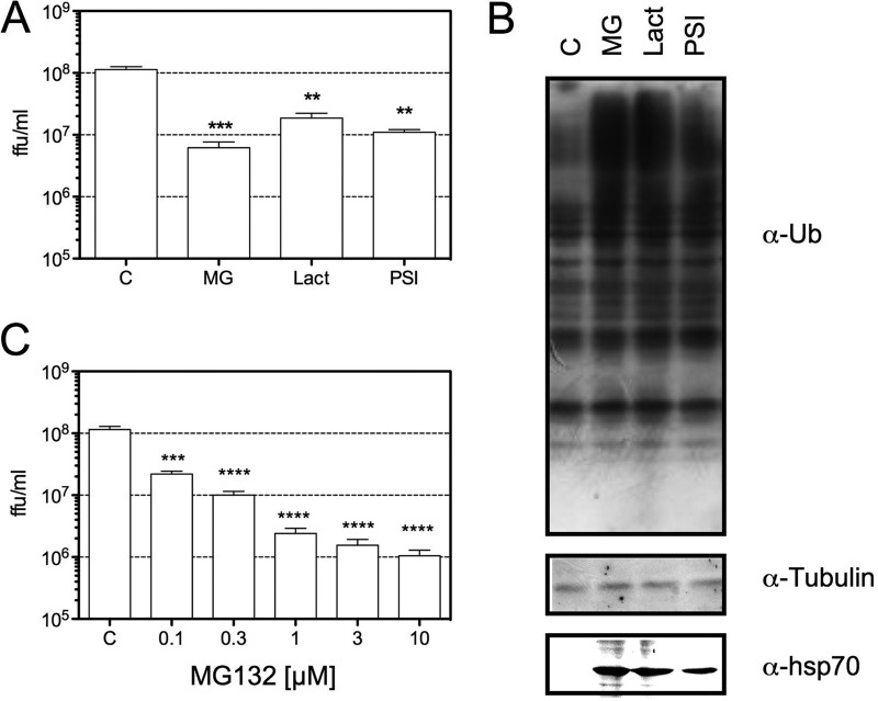 FIG 1