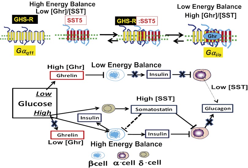 Scheme 1.