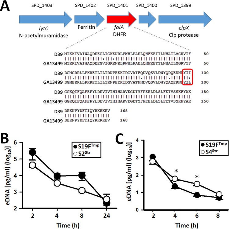 FIG 2 