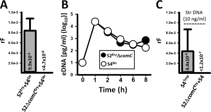 FIG 4 