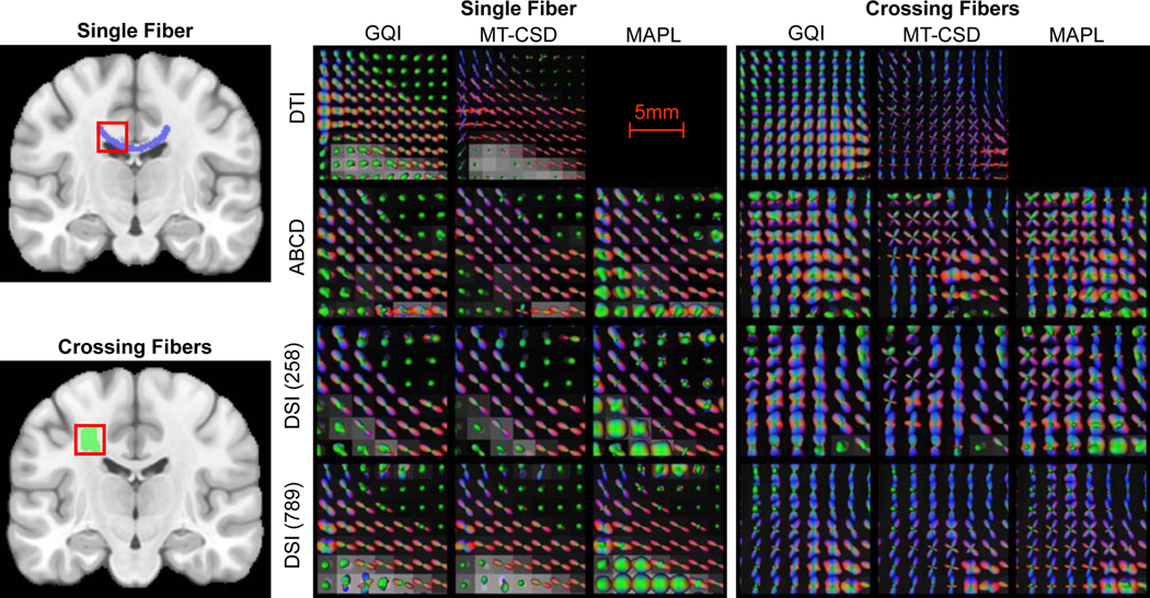 Extended Data Fig. 3