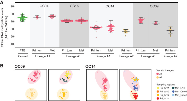 Figure 6. Dynamic changes of DNA methylation from primary tumors to metastases. A, Single-cell global DNA methylation levels of primary tumor cells and matched metastases within the same lineage. Each point represents a single cell, colored by genetic lineages. The lines at the bottom, middle, and top represent 25%ile, median, and 75%ile values, respectively. “Pri_tum” and “Met” represent primary tumor and metastasis, respectively. B, Clustering of cancer cells based on DNA methylation for OC09 and OC14, colored by genetic lineages (left) and sampling regions (right). Pri_tum, primary tumor; Met_LN, lymph node metastasis; Met_Ome, omental metastasis.